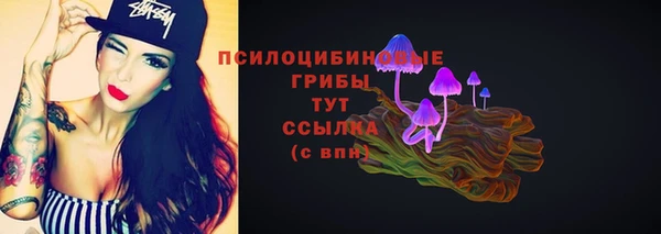 ГАЛЛЮЦИНОГЕННЫЕ ГРИБЫ Алексин