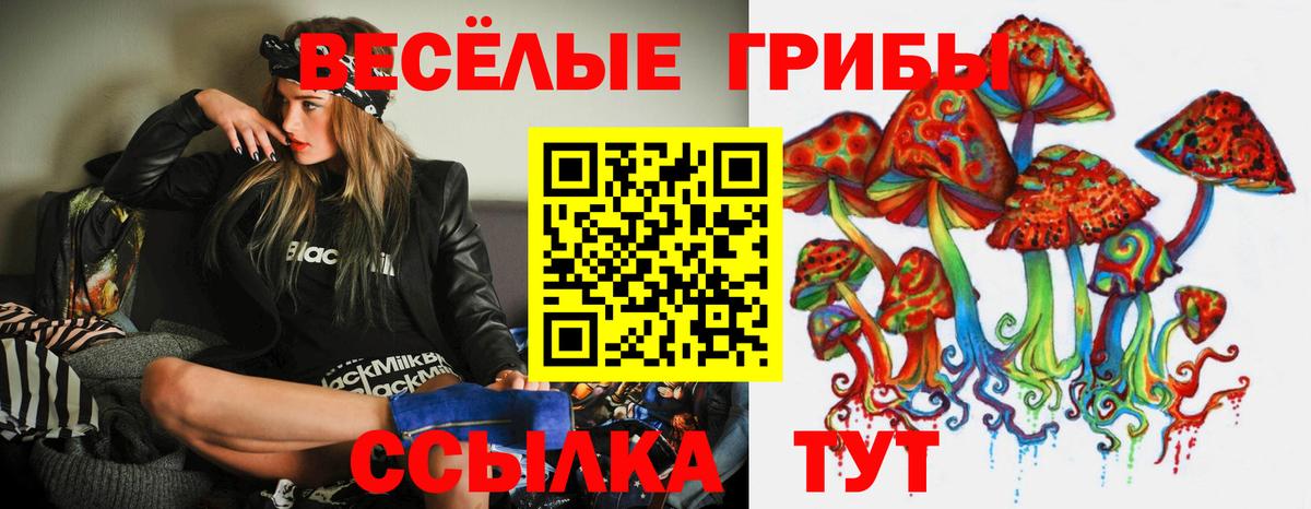 Галлюциногенные грибы Psilocybe Обнинск