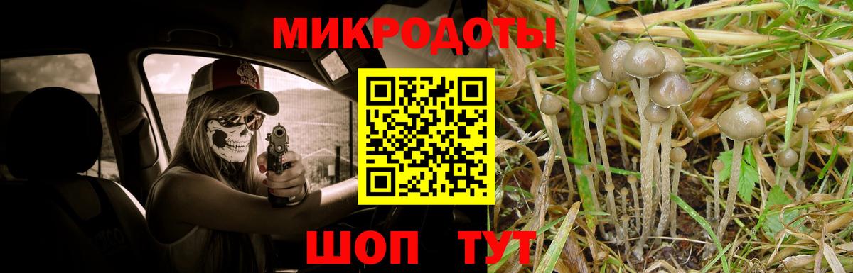 Галлюциногенные грибы мицелий  Галлюциногенные грибы мухоморы  Вход с VPN  Обнинск 